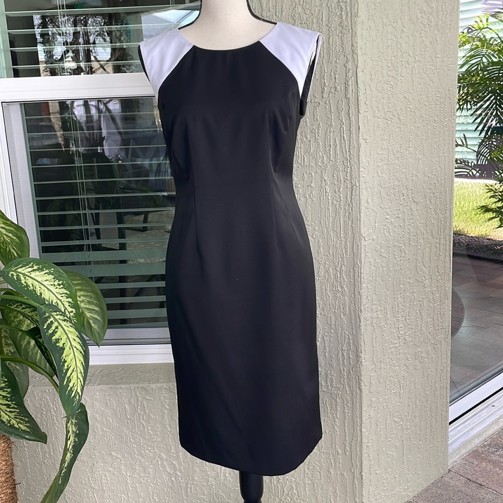 Stunning Evan-Picone dress